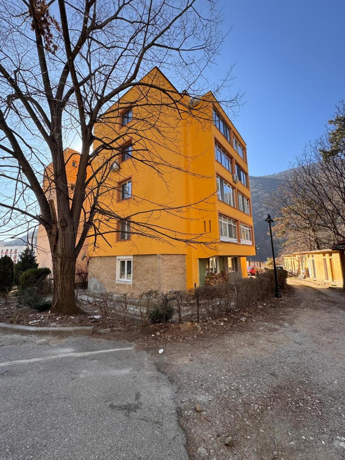 Linen Tree Apartment Беїле-Херкулане Екстер'єр фото