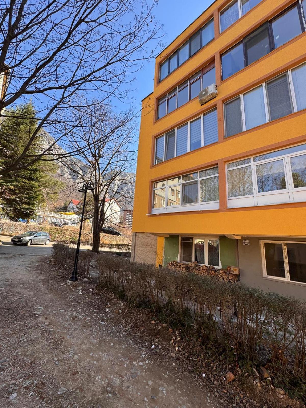 Linen Tree Apartment Беїле-Херкулане Екстер'єр фото